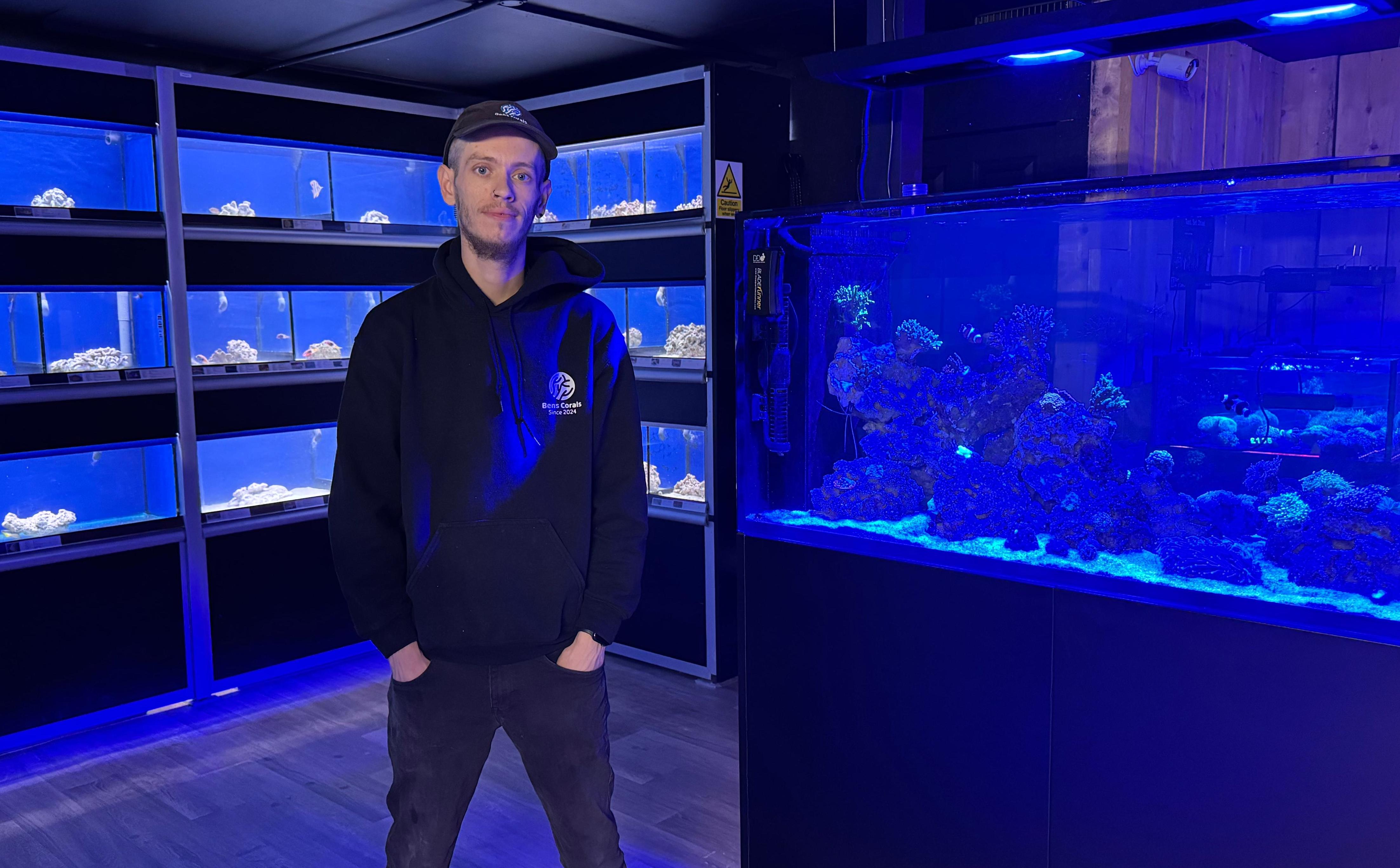 A Remarkable First Year for Ben's Corals at Stonham Barns Park