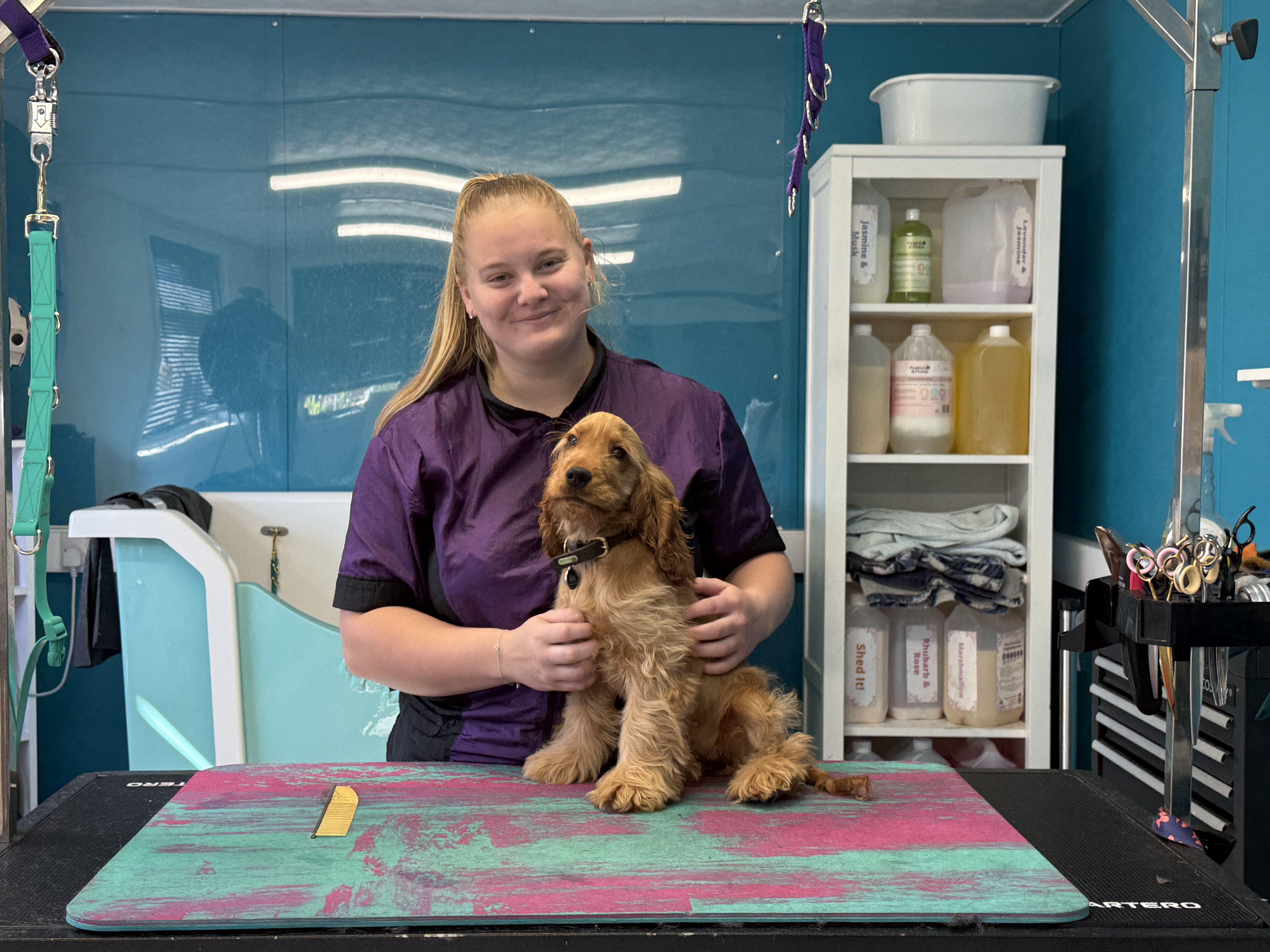 Wags and Wiggles Joins Stonham Barns Park Retail Village for One-to-One Dog Grooming